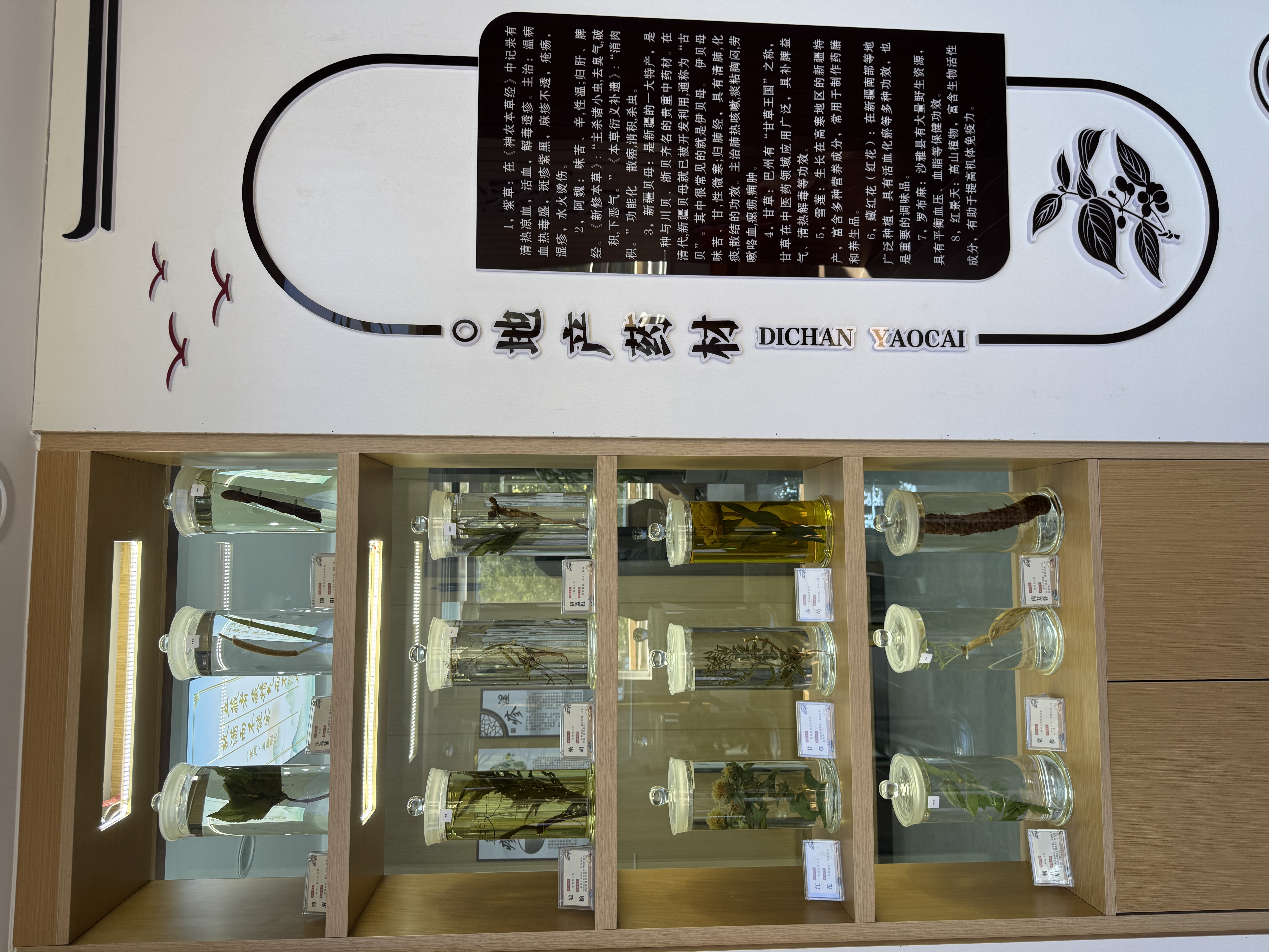 中醫藥材展示